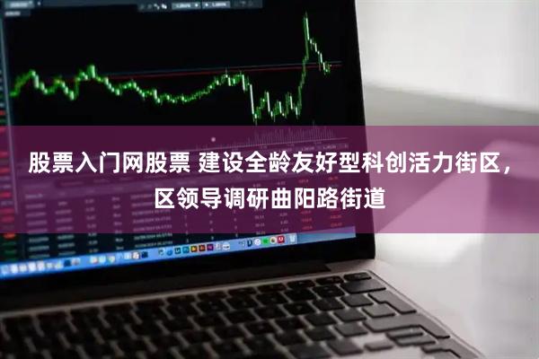 股票入门网股票 建设全龄友好型科创活力街区，区领导调研曲阳路街道